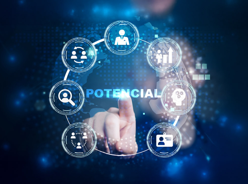 Descripción de la imagen